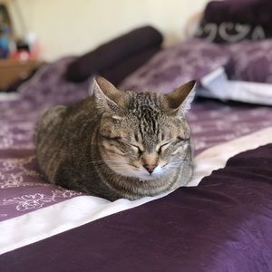 Meet your Posher, Mariana